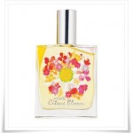 mark Citrus Bloom Collection 