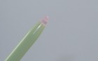 Pixi Extra Eye Bright Eyeliner