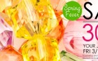 Spring Fever Banner 2013