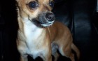 Picture_0015