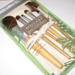 Beauty on a Budget: EcoTools 5 Piece Brush Set with Case Review
