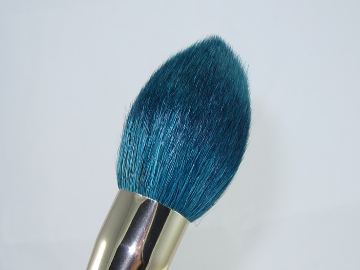 Sonia Kashuk Color Crazed Brush Set10