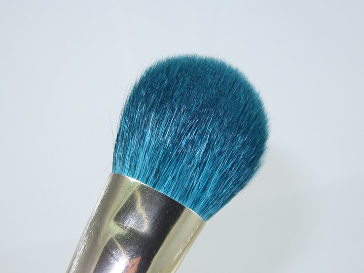 Sonia Kashuk Color Crazed Brush Set11