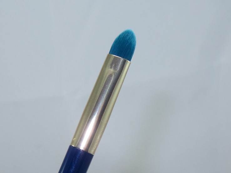 Sonia Kashuk Color Crazed Brush Set4