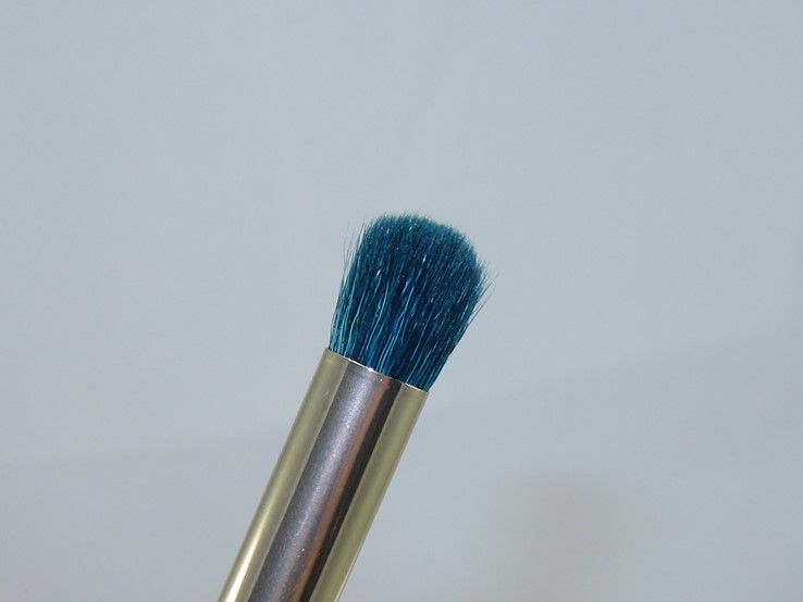 Sonia Kashuk Color Crazed Brush Set6